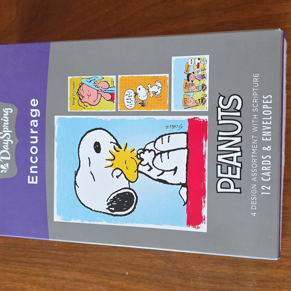 12 Pk Peanuts Encourage With Scripture Greeting Cards NIB